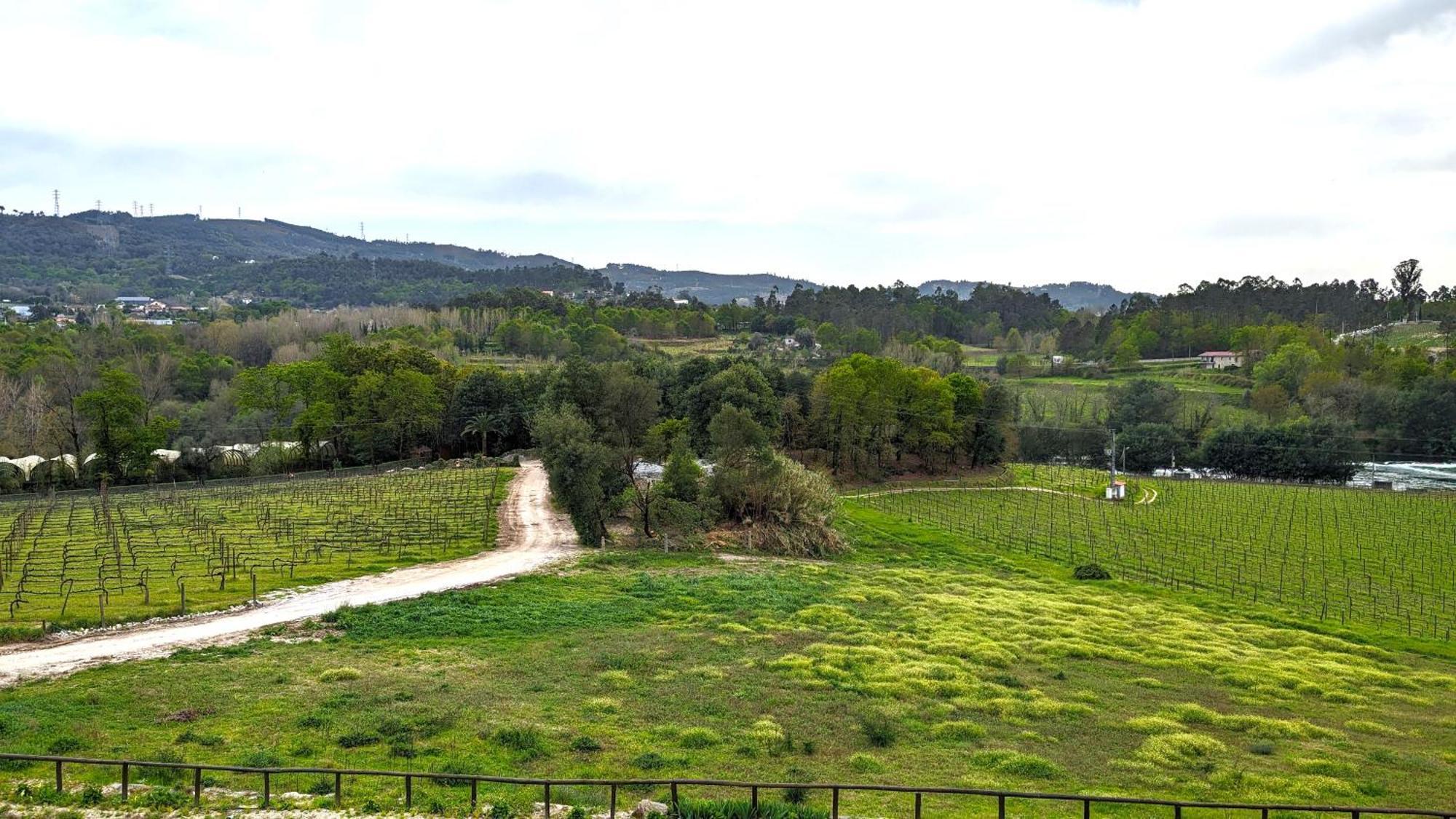 Quinta Do Burgo - Nature Hotel Amares Zewnętrze zdjęcie